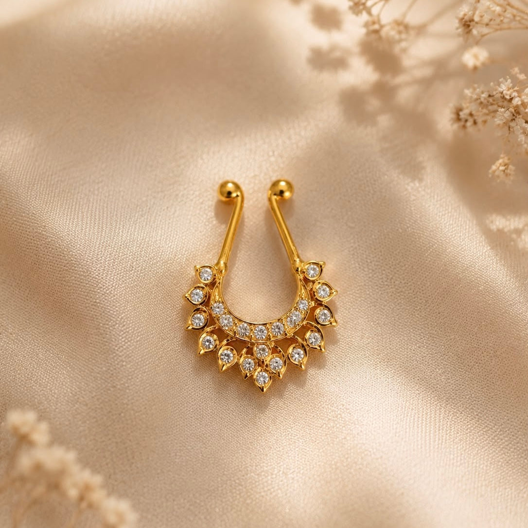 ANSHI SEPTUM
