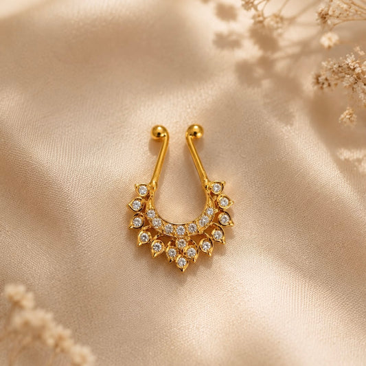 ANSHI SEPTUM